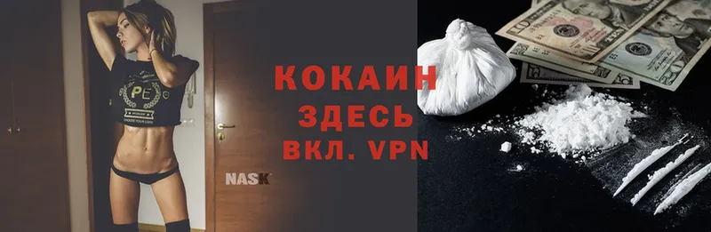 Cocaine Эквадор  Вологда 